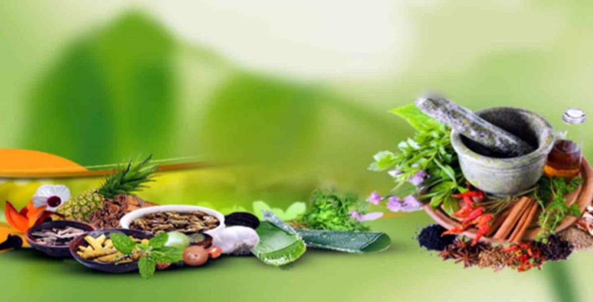 आयुर्वेदिक उपचार पद्धतिमा आकर्षण 